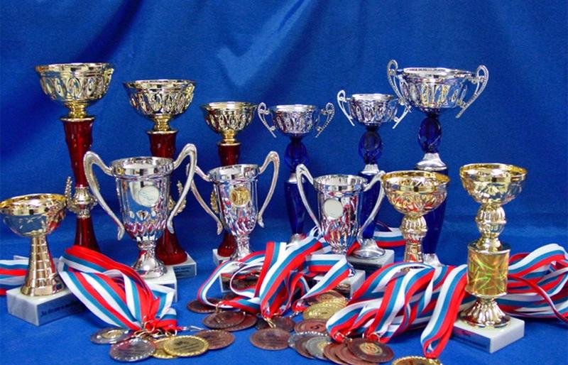 Камчатские спортсмены за год завоевали 170 наград всероссийских и международных соревнований