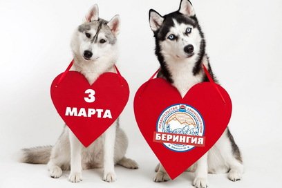 Камчатцев с открытием «Берингии-2018» поздравит певец Сергей Трофимов