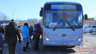 Камчатцев на "Берингию-2018" доставят бесплатные автобусы Камчатцев на "Берингию-2018" доставят бесплатные автобусы