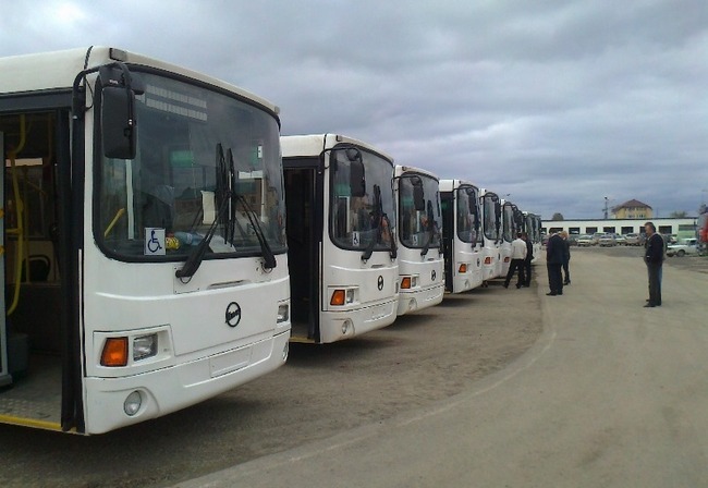 Правительство Камчатки: мы закупим новые автобусы