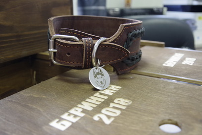 На Камчатке подготовили приз четвероногому чемпиону «Берингии-2018»