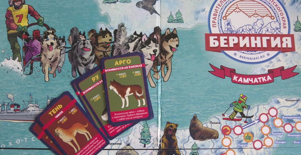 Настольная игра «Берингия» появилась на Камчатке Настольная игра «Берингия» появилась на Камчатке