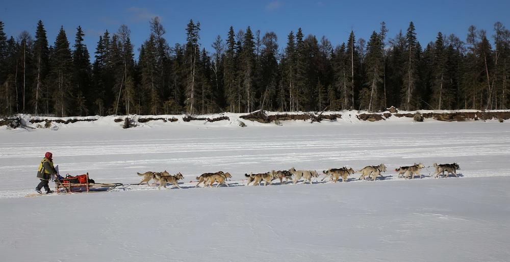 Первый этап «Берингии-2018» позади - лидирует Валентин Левковский