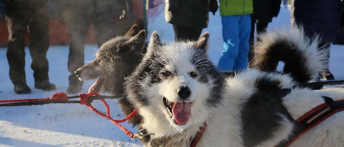 Второй этап «Берингии» завершен – лидерство удерживает Валентин Левковский 