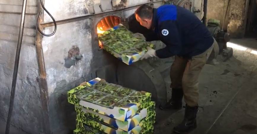 На Камчатке сожгли 13,5 кг санкционного салата