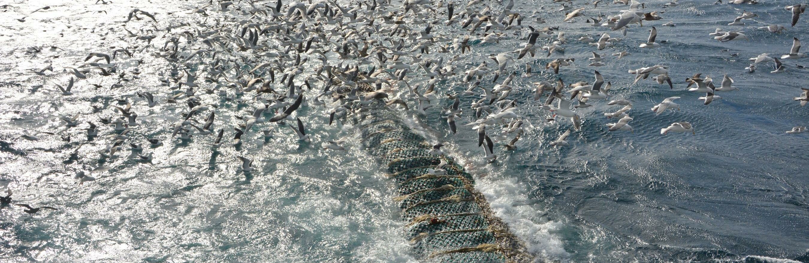 «Океанрыбфлот» отметил 50-летний юбилей «Океанрыбфлот» отметил 50-летний юбилей