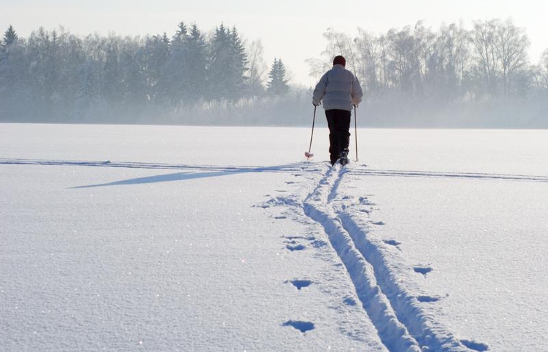 На Камчатке спасли заблудившегося лыжника