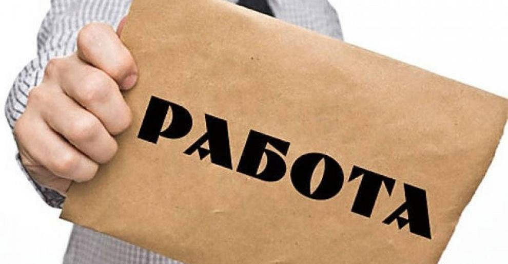 ТОП-10 самых высокооплачиваемый вакансий на Камчатке