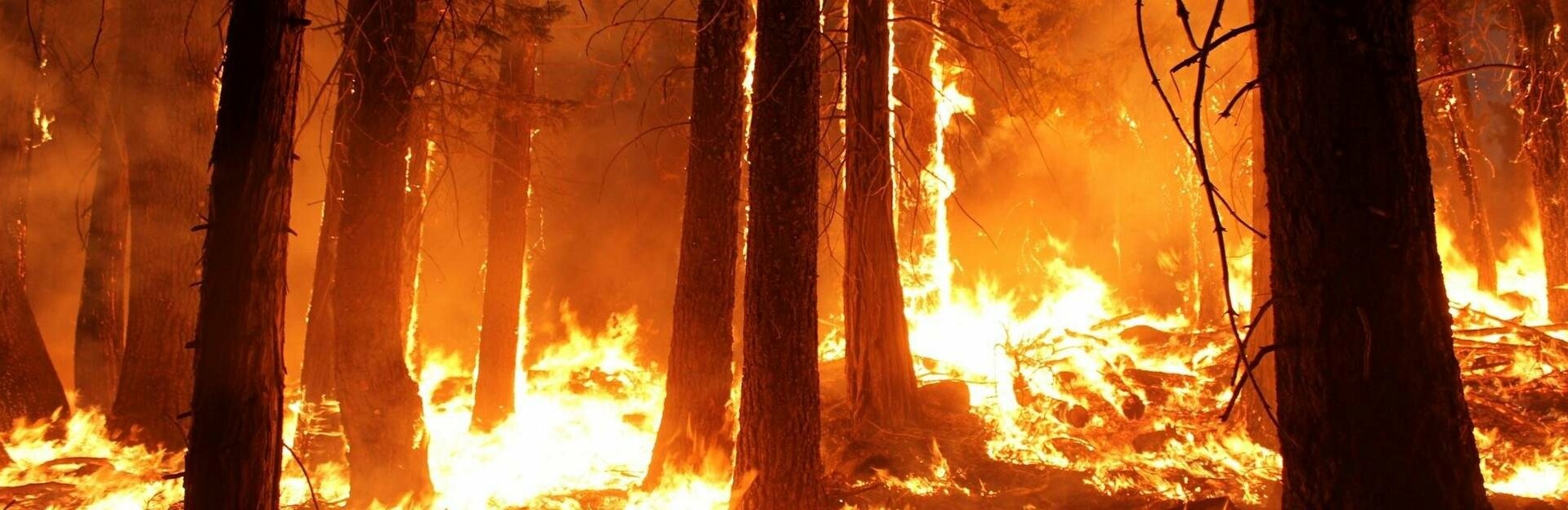 1 мая на Камчатке стартует пожароопасный сезон