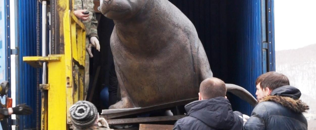 Семья сивучей поселится на фонтанной площади в Петропавловске