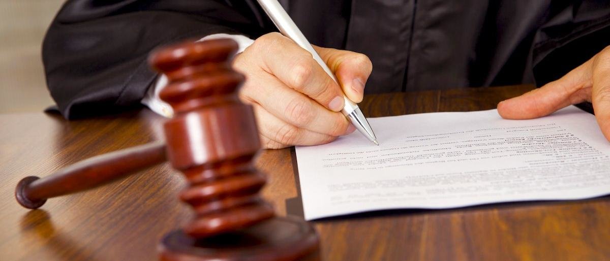 На Камчатке под суд пойдет насильник детей и живодер 