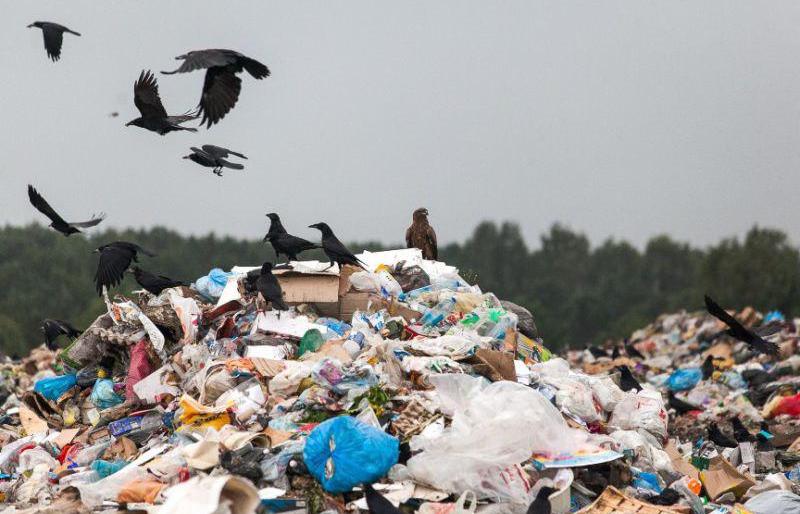 В Петропавловске коммунальщиков обязали привести в порядок свалки