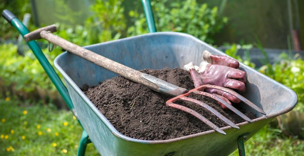 Открыли дачный сезон – алковечеринка в СНТ «Смородинка» закончилась убийством