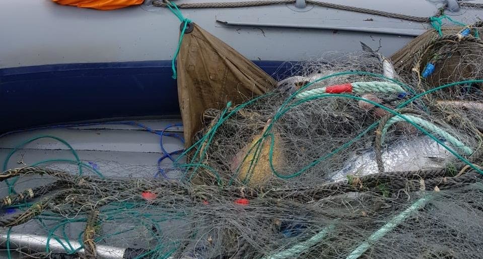 Нерка, чавыча и краб – нелегальный улов грозит четырем камчатцам штрафом и тюрьмой 