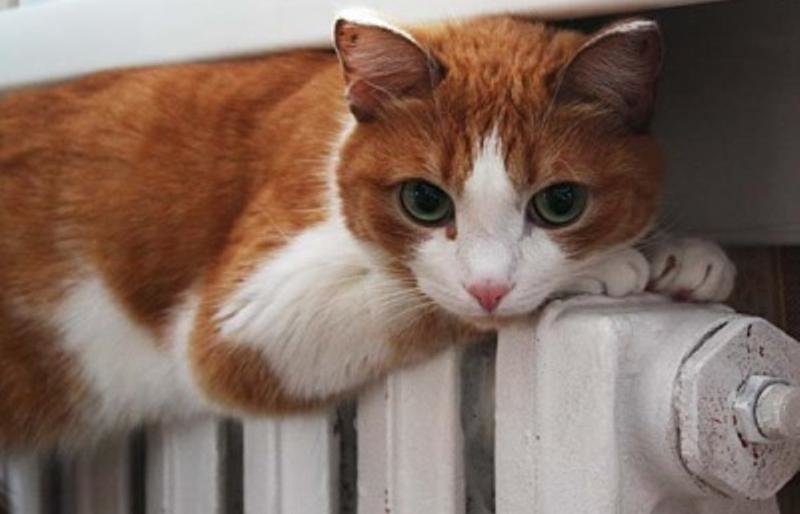 В Петропавловске продолжается отопительный сезон В Петропавловске продолжается отопительный сезон