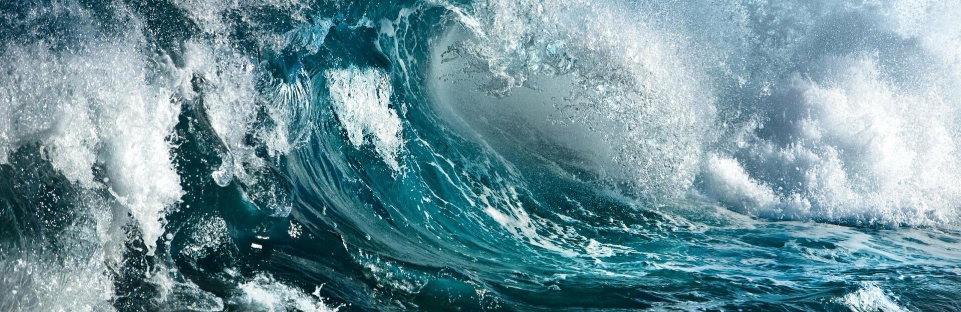 Камчатка отметила День Океанов