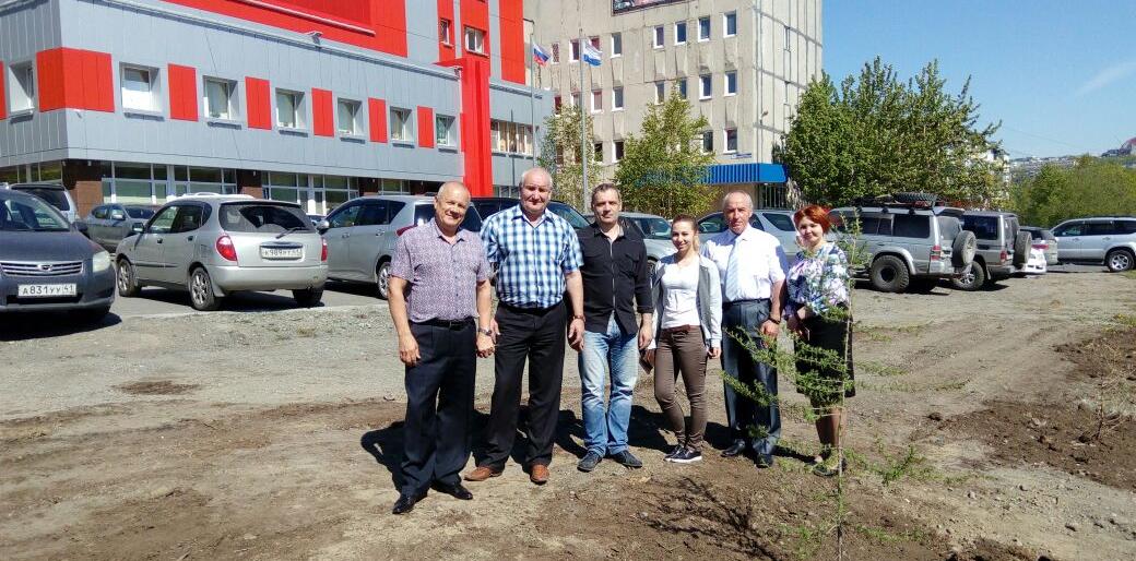 В Петропавловске высадили лиственницу, сосны и ель
