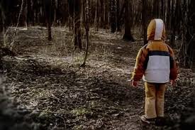 На Камчатке в лесу пропал ребенок - СКР возбудил уголовное дело