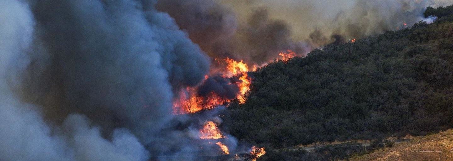 Тушение природного пожара в районе Вывенки приостановлено