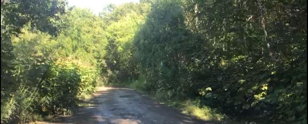 Дорогу на океан приведут в порядок?