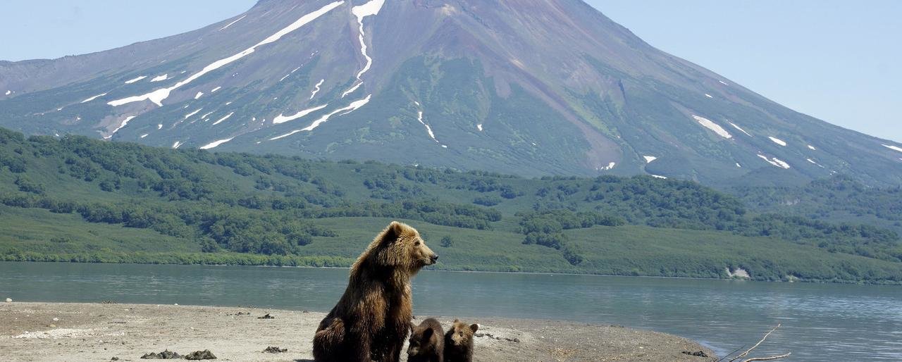 OneTwoTrip - 26% путешественников мечтают побывать на Камчатке OneTwoTrip - 26% путешественников мечтают побывать на Камчатке