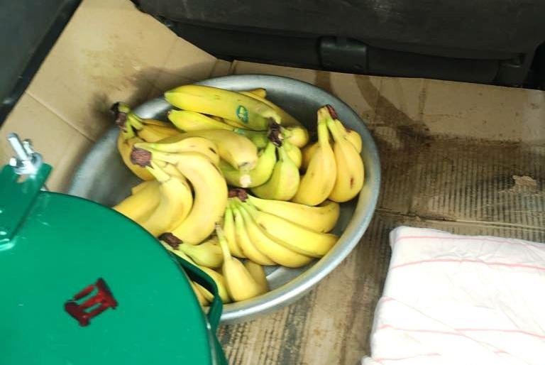 Дошколятам из камчатского центра «Эврика» возили еду в грязном багажнике