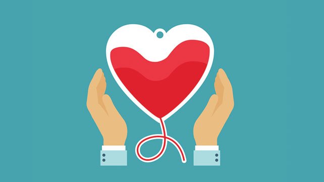 Камчатские доноры сдали почти 6 литров крови