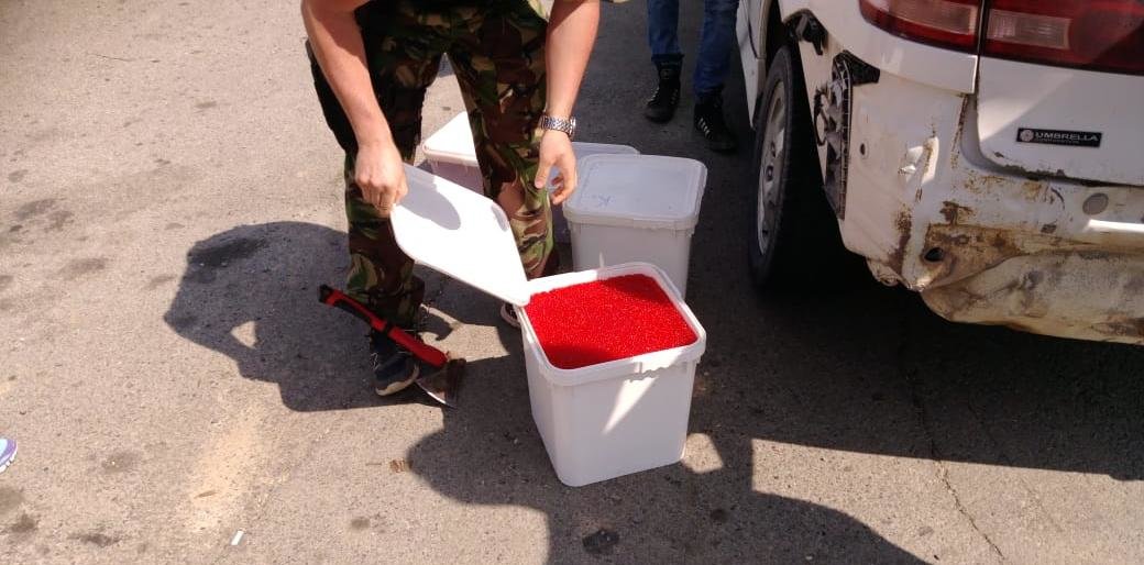 Почти центнер красной браконьерской икры изъяли на Камчатке 