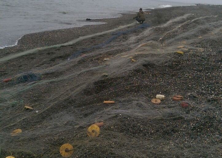 Сотни метров браконьерских сетей изъяли на западе Камчатки Сотни метров браконьерских сетей изъяли на западе Камчатки