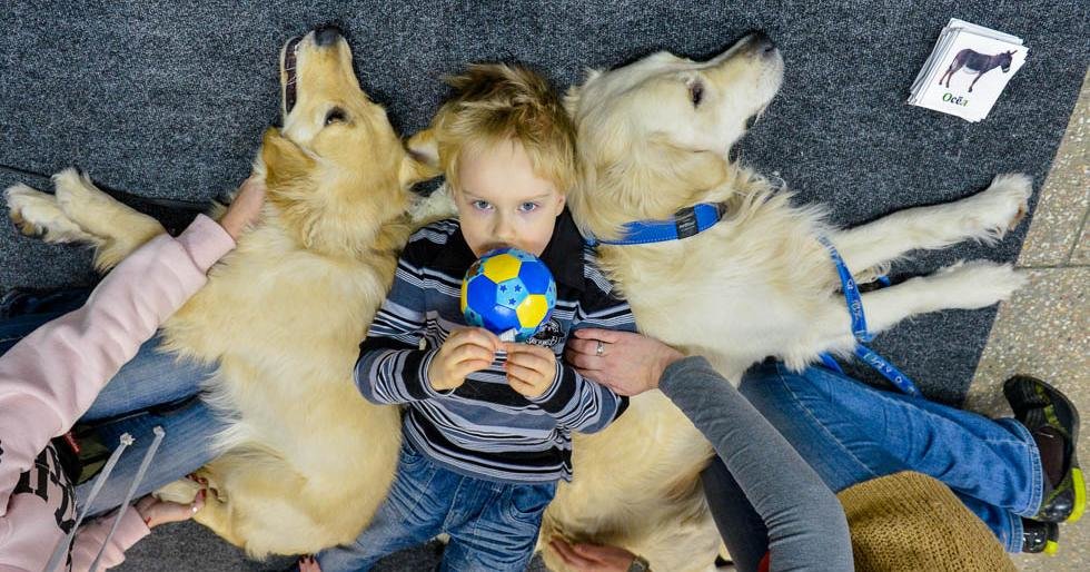 Камчатские НКО могут получить президентские гранты