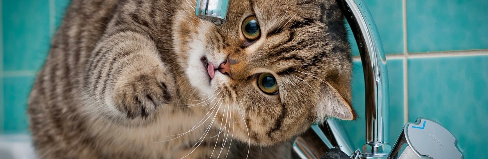 Камчатцы, самовольно подключившиеся к сетям ХВС, останутся без воды