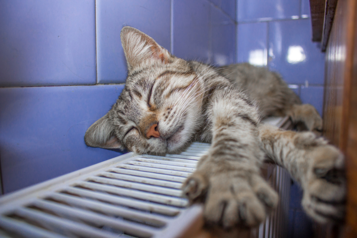 Камчатка готовится к сезону теплых батарей