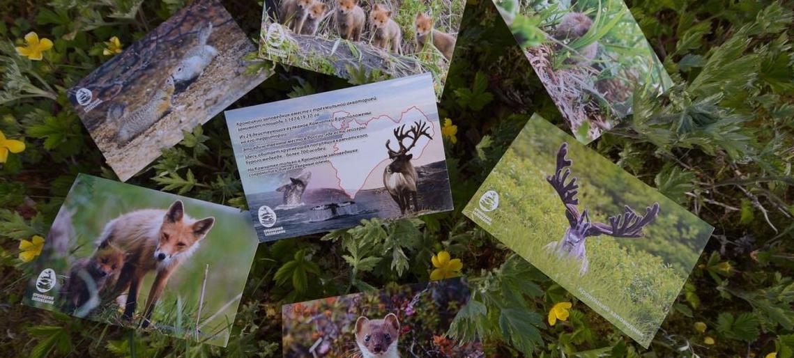 Почта России выпустила переводной штемпель к 77 годовщине открытия Долины гейзеров