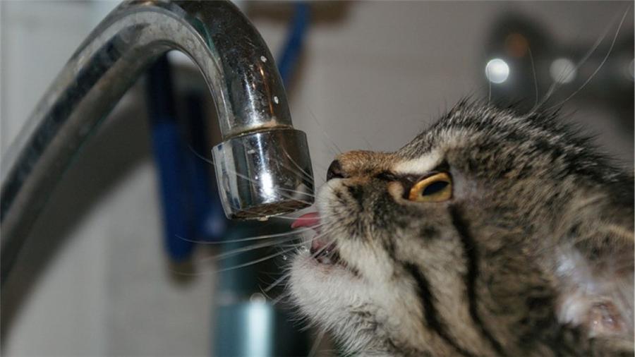  Несколько районов Петропавловска могут остаться сегодня без воды ⠀