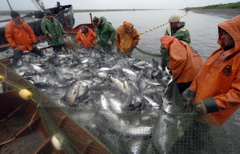 Российский премьер и камчатский губернатор поговорили о путине