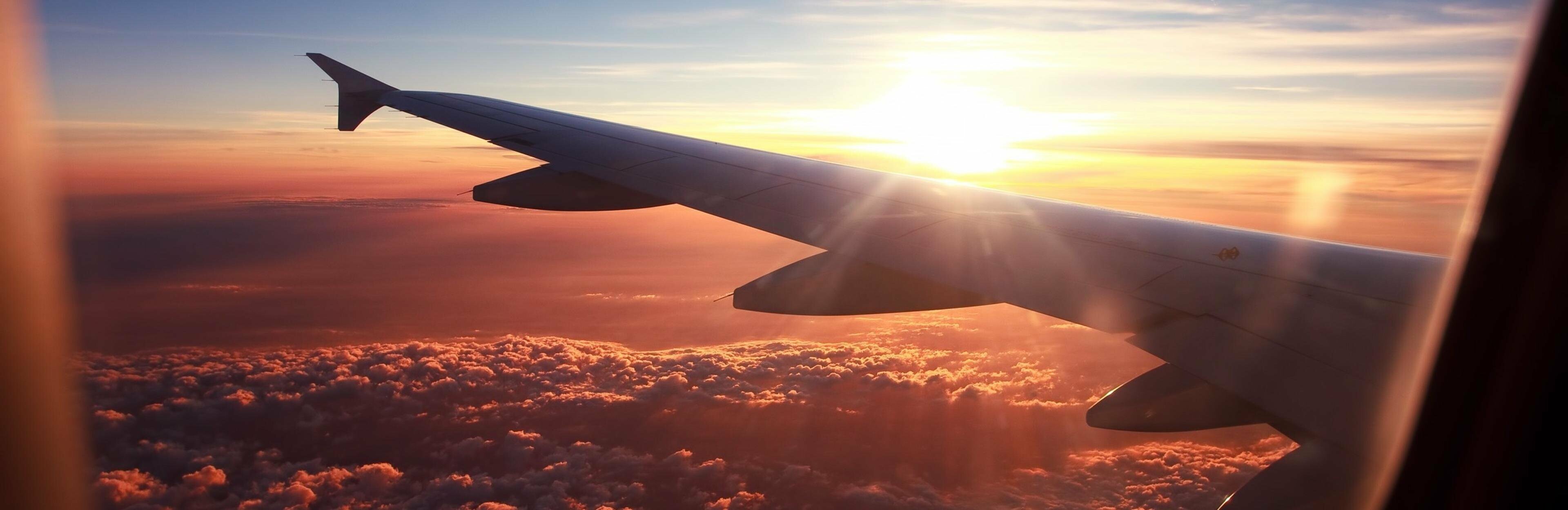 Камчатская авиамошенница получила условный срок и штраф Камчатская авиамошенница получила условный срок и штраф