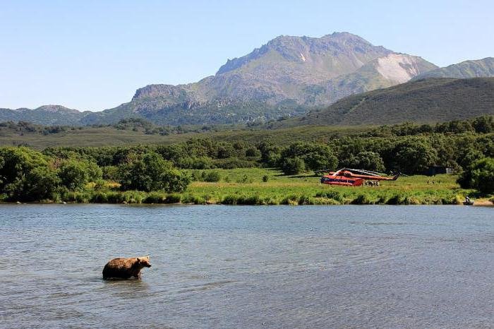 Кости человека нашли в окрестностях Курильского озера на Камчатке
