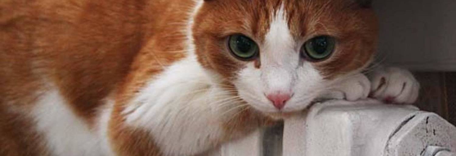 Петропавловск-Камчатский готовится к отопительному сезону