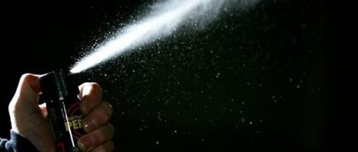 На Камчатке браконьер отбивался от инспекторов «Антизверем»