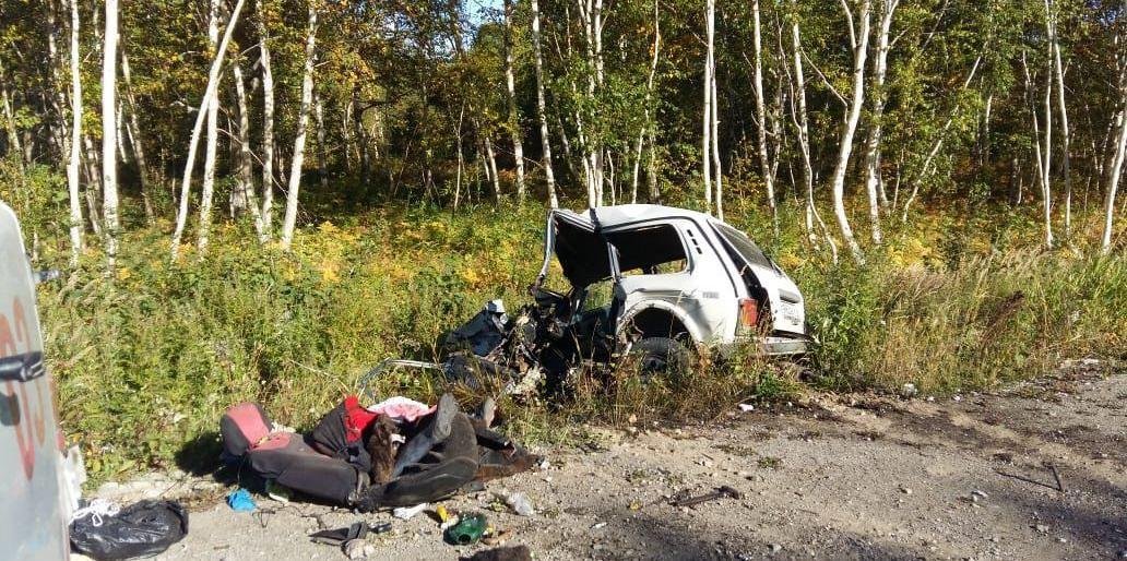 Смертельное ДТП произошло в Елизово Смертельное ДТП произошло в Елизово