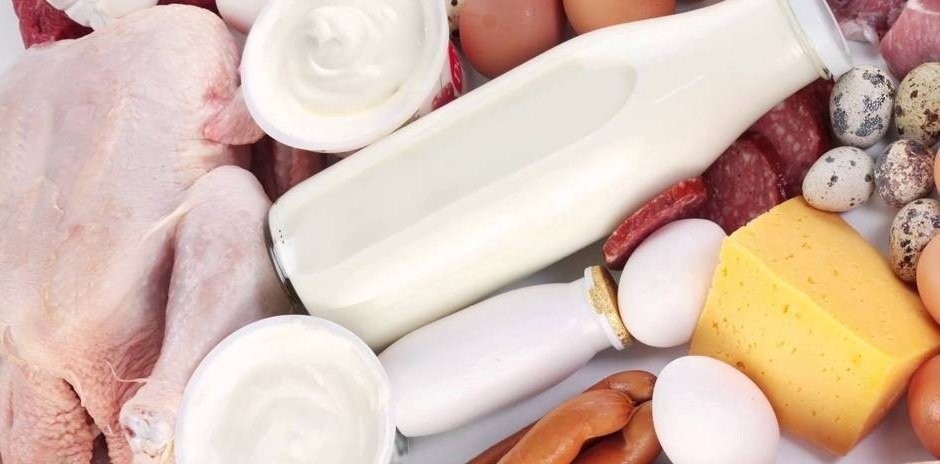 На Камчатке вырос объем производства продукции животноводства