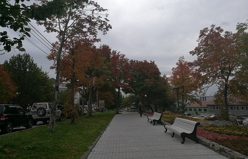 Аллея Флота в Петропавловске преобразится 