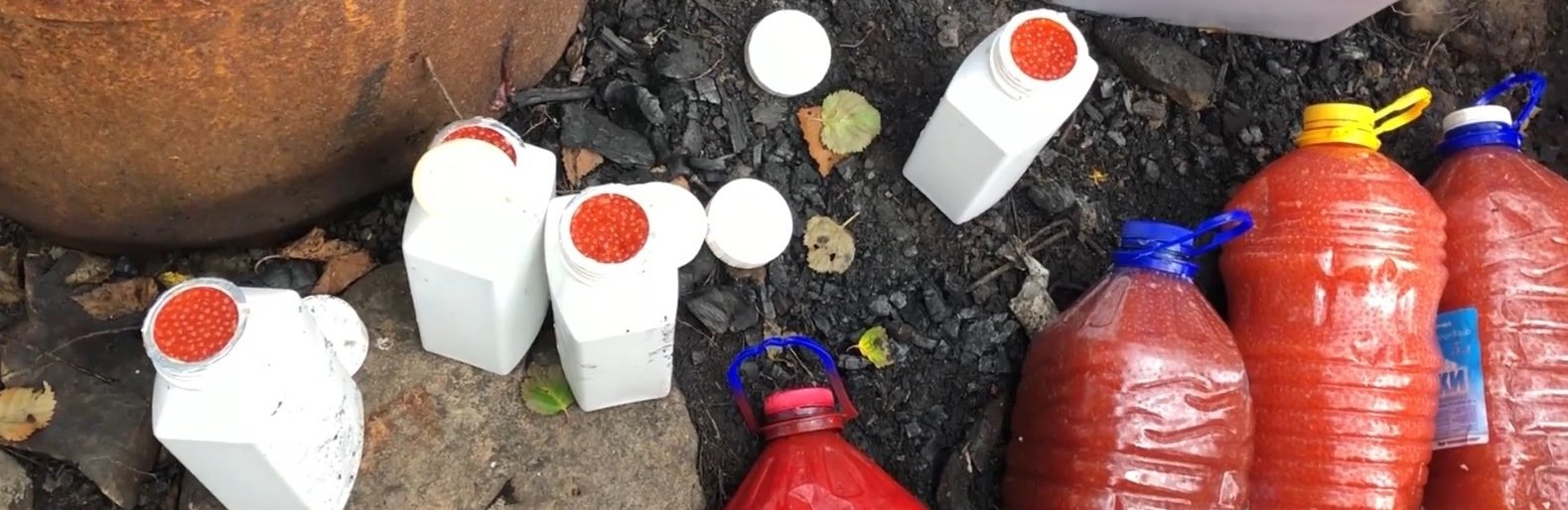 Браконьерский стан ликвидировали в заповеднике на Камчатке