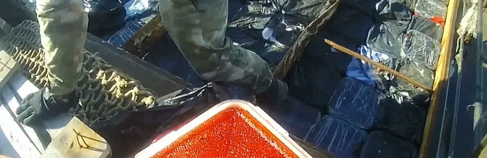 На Камчатке в тайнике нашли почти 2 тонны икры