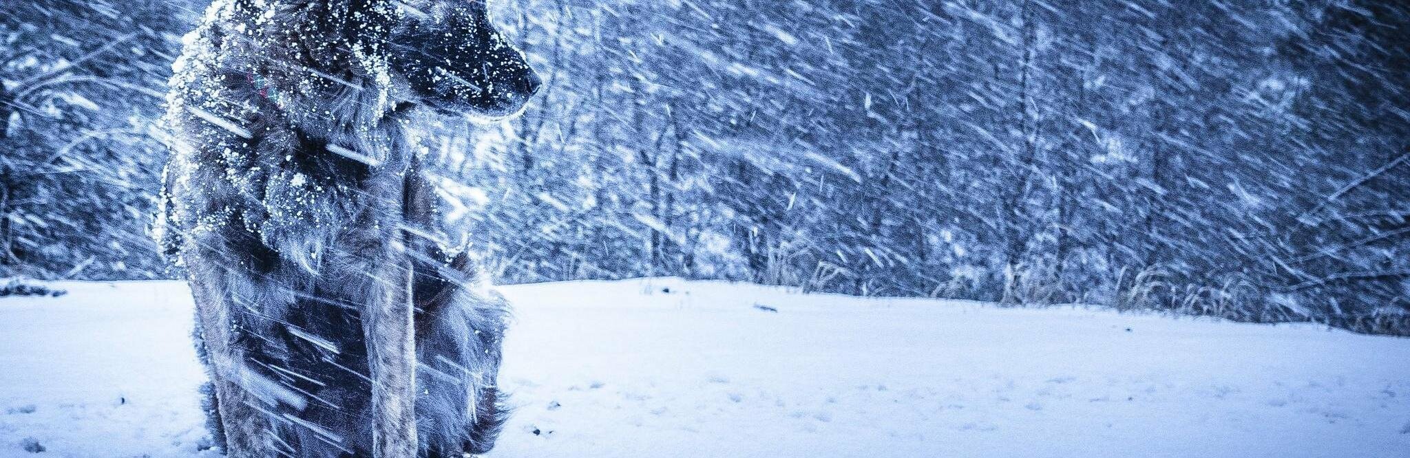 Мощный циклон ударит в среду по Камчатке