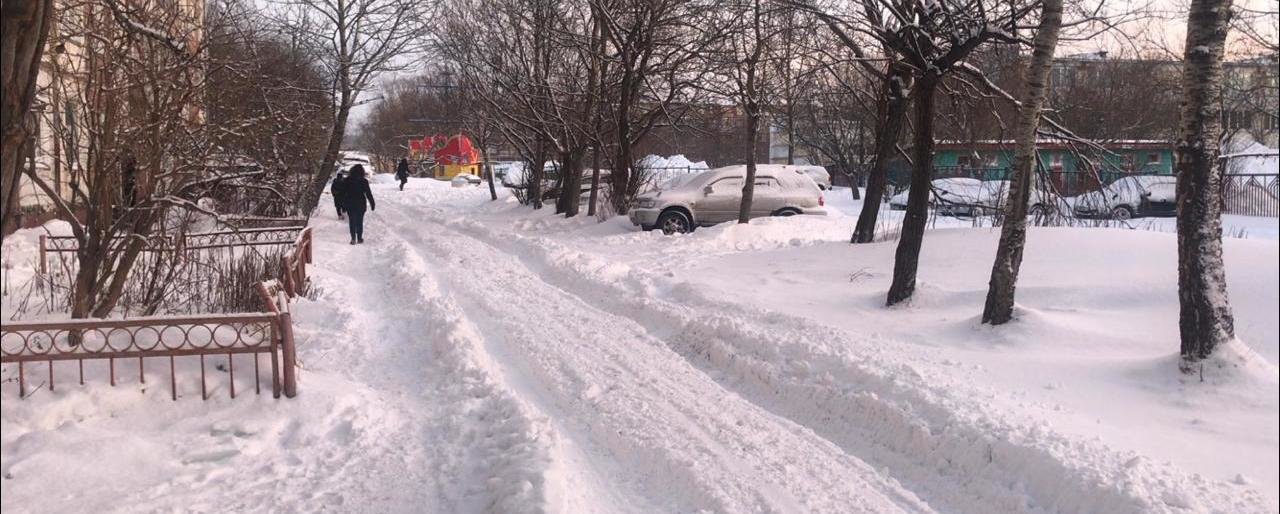 Работу «управляек» Петропавловска проверят после пурги
