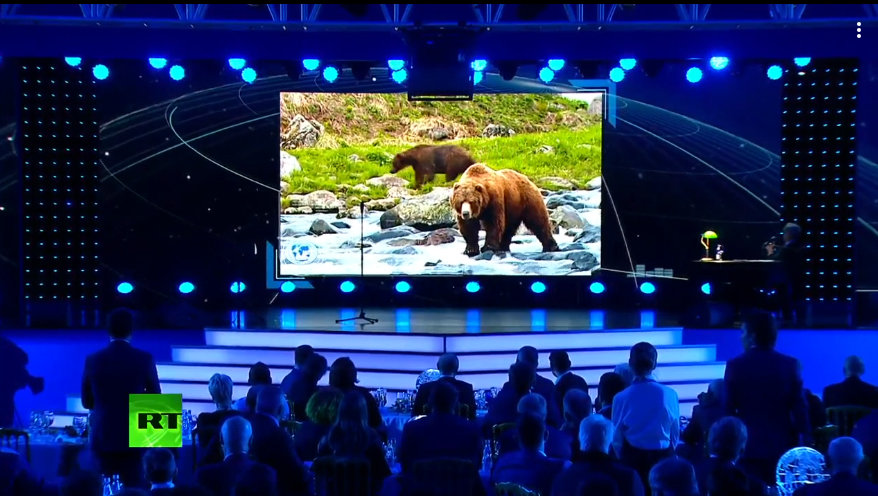 Лучшим медиапроектом-2018 стал фильм "Медведи Камчатки. Начало жизни"