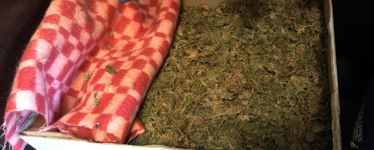 Крупную партию марихуаны изъяли у жителя Камчатки