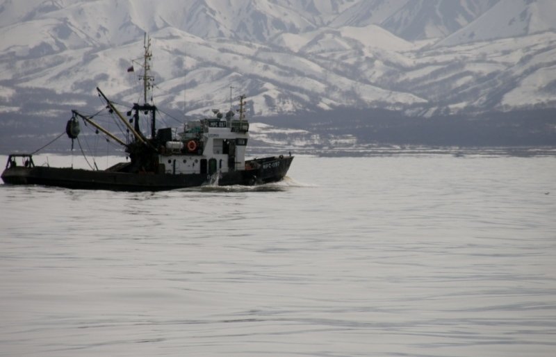 Улов на миллион  Улов на миллион