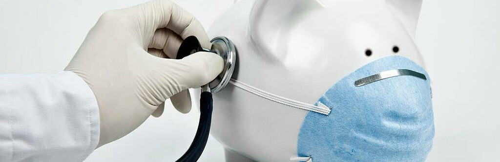 Два случая свиного гриппа зарегистрировано на Камчатке